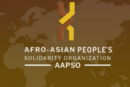 About AAPSO