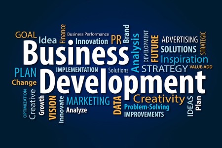 Business Development Sector